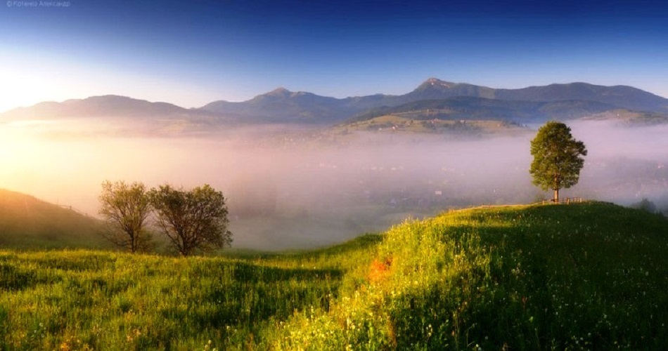 Чому варто обрати Карпати для літнього відпочинку?