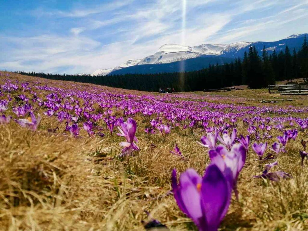 Весенний поход в Карпаты