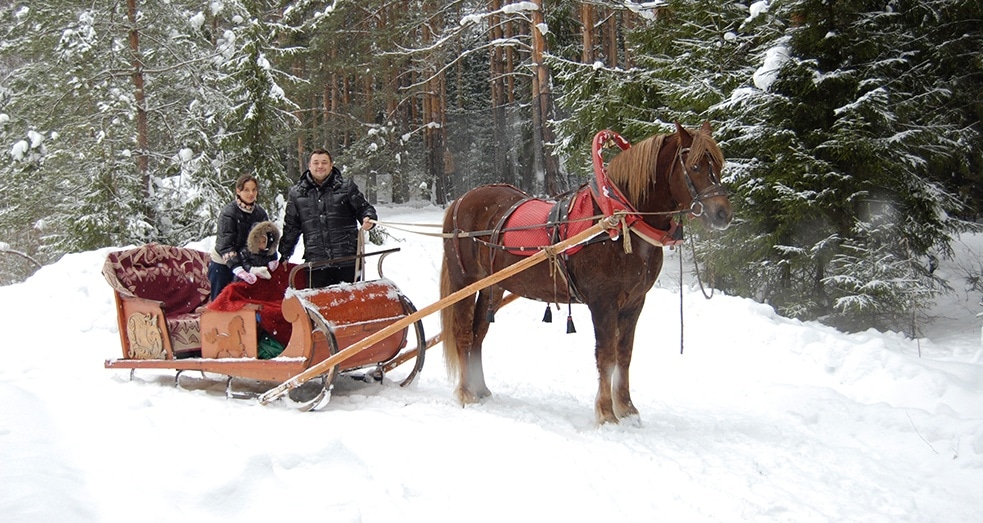 Кінна прогулянка
