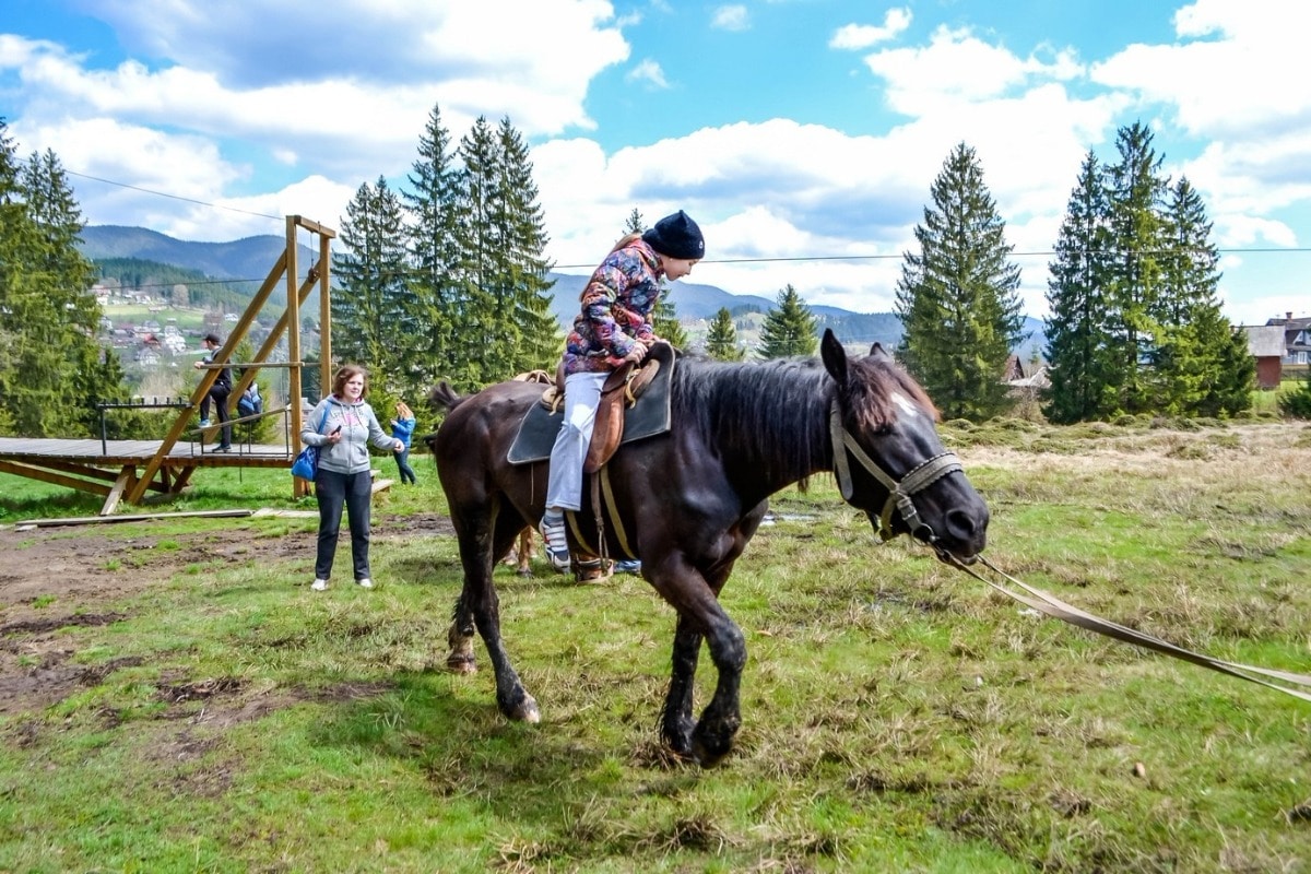 Кінні прогулянки у Карпатах
