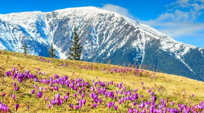 Відпочинок в Карпатах весною