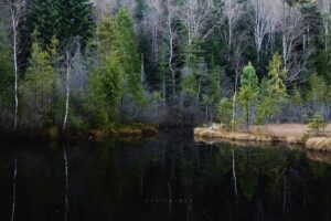 Озеро Журавлине 