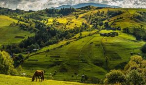 Весна в Буковелі