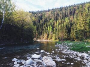 Горная река в Карпатах