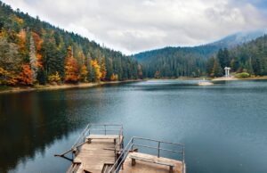 Відпочинок влітку